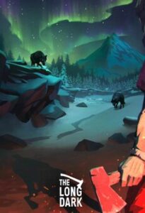 The Long Dark (PC) - Steam Key - GLOBAL