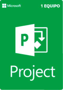 Microsoft - Project Professional 2019 - RETAIL