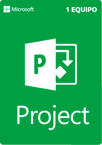 Microsoft - Project Professional 2019 - RETAIL
