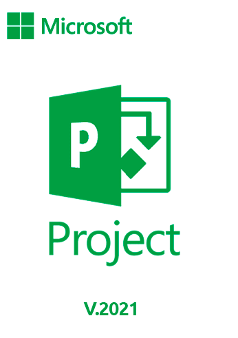 Microsoft - Project Professional 2021 - RETAIL